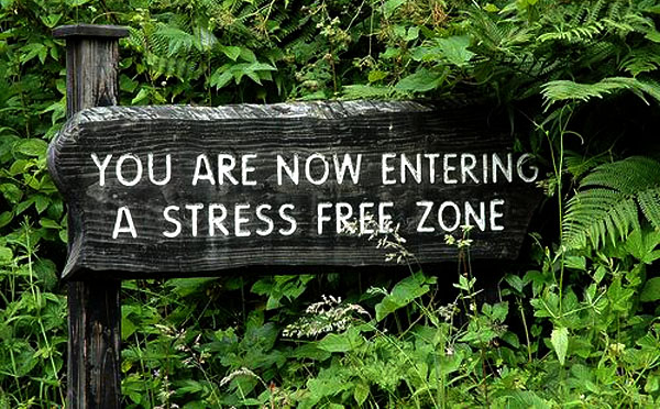 entering-stress-free-zone1