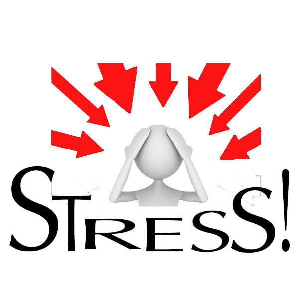 You Six Word Self: Defining Our Stress Response