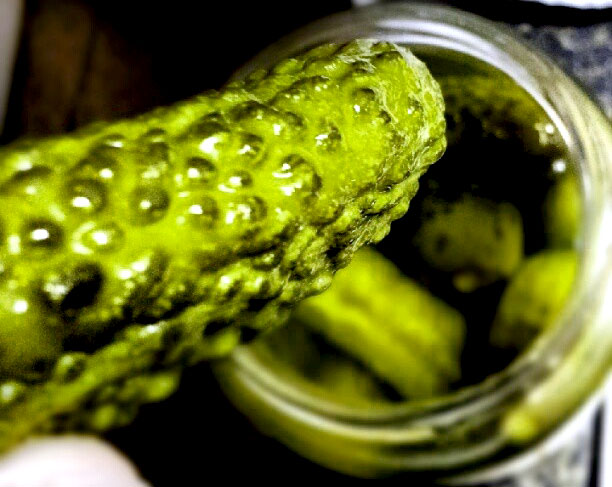 big pickle