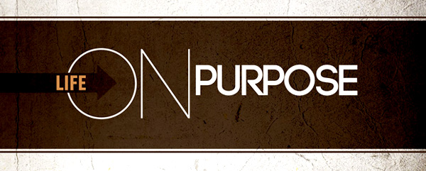 A Happy 2015 on Purpose